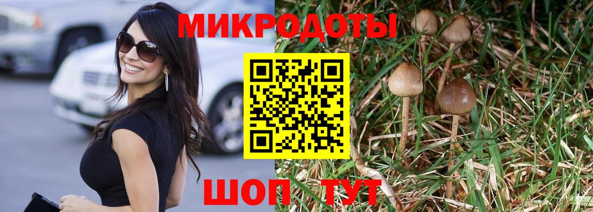 Псилоцибиновые грибы мицелий  магазин продажи   Вход с VPN  Киреевск  Псилоцибиновые грибы ЛСД 